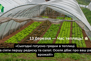 Порада від Оселі: 13 березня фото