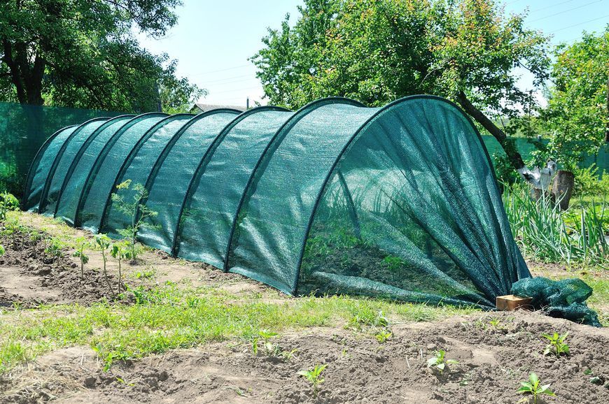 Укриття від сонця для рослин Shadow BIG 60 % 160 x 120 10 метра НДРС0019 фото