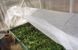 Полотно 12м 42 г\м2 щільності агроволокно для парника прошите ПОЛОТ00013 фото 6
