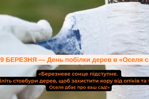 &laquo;БІЛИМО ДЕРЕВА&raquo; ⚪️🌳 фото