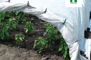 🌱 Як вибрати агроволокно для раннього врожаю: поради господарям від &laquo;Оселя Сад&raquo; 🏠 фото